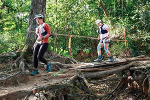 BIB: 
                            <button type="button" onclick="openModal(27558555)" class="btn btn-primary btn-sm float-right btn-popup" data-toggle="modal" data-target=".modal-high-quality">
                        <i class="fas fa-shopping-cart"></i> Add to Cart
                    </button>
                                            <button type="button" onclick="isThisMe(27558555, true)" class="btn btn-success btn-sm float-right btn-popup btn-isme hidden" data-toggle="tooltip" data-placement="bottom" title="นี่คือรูปของคุณใช่ไหม คลิกที่นี่เพื่อเอาเข้าอัลบั้ม">
                        <i class="fas fa-plus"></i> Add to album
                    </button>
                    <button type="button" onclick="isThisMe(27558555, false)" class="btn btn-warning btn-sm float-right btn-popup btn-isnotme hidden">
                        <i class="fas fa-ban"></i> Remove from album
                    </button>